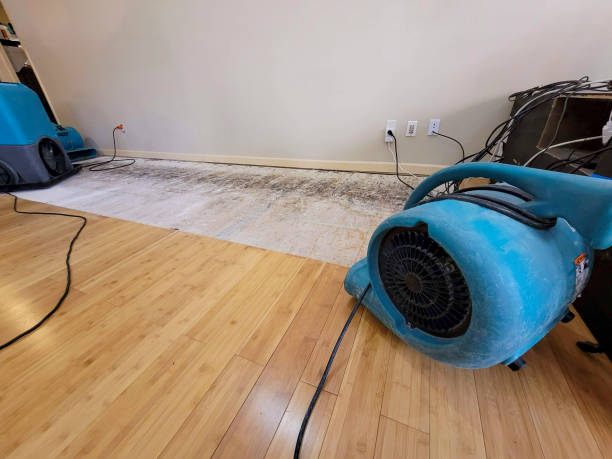 Professional Burst Pipe Water Damage technician working in Township Of Washington, NJ
